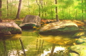 Pine%20Creek%2CSpring (thumbnail)