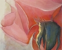 About%20A%20Rose (thumbnail)