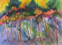 Sundown%20In%20The%20Wilderness (thumbnail)