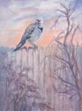 Birdwait (thumbnail)