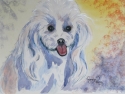 Dogdaze (thumbnail)