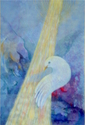 Dove%20Light (thumbnail)