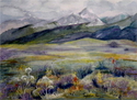 Westcliffe%20Valley%20Floor (thumbnail)