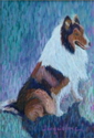 Laddie (thumbnail)