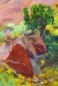 Palo Duro Still Life
