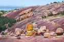 Yellow Rock