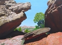 Rocky Frame
