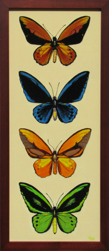 Four Color Birdwings