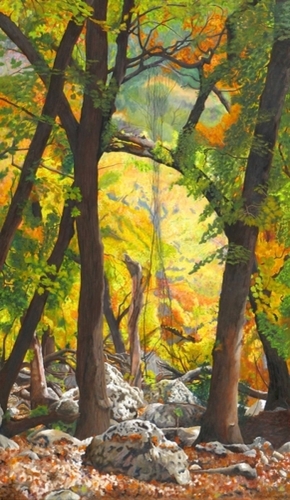 Lost Maples Tangle