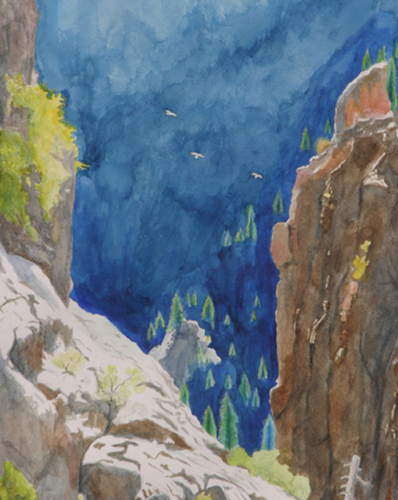 Closeup of Ravens in the Black Canyon