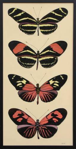 Heliconius Collection