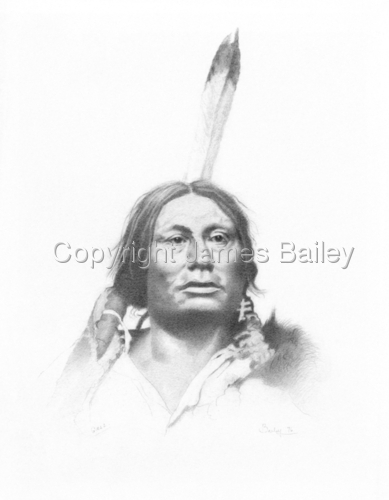 Drawing-Portrait-Gall