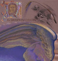 Annunciation%20in%20an%20Initial%20N (thumbnail)
