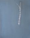 TWIG<br>