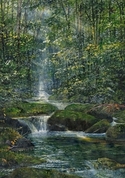 Hazel%20Creek (thumbnail)