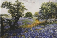 Texas%20Blues (thumbnail)