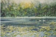 Swan%20Lake (thumbnail)