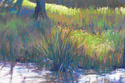 Down%20by%20the%20Bayou (thumbnail)