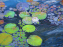 Waterlily%20Suite%203 (thumbnail)