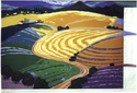 Abundance (thumbnail)