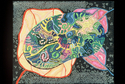 Brain Scan