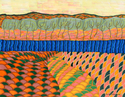 River and Fields