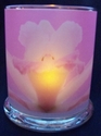 Pink Orchid