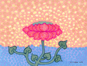Pink Lotus
