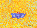 Blue Lotus