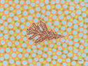 White Oak Leaf I