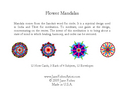 Flower Mandalas Boxed Set