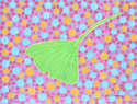 Ginkgo Leaf II