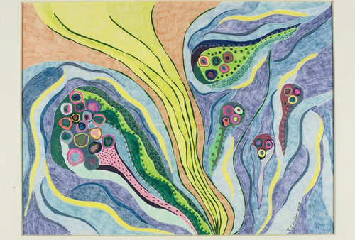 Drawing-Colored pencil-Metamorphosis