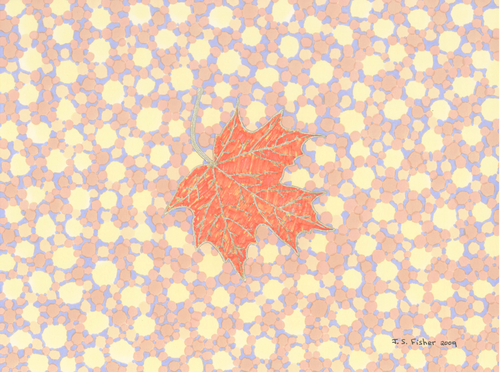 Drawing-Ink-Sugar Maple Leaf I