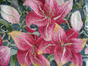 Lilies%20in%20the%20Pink (thumbnail)