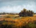Western Field
