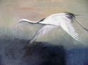 Janei Folz - Sandhill Grace