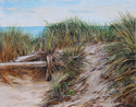 Chatham Beach