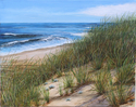 Summer Day on Cape Cod