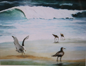 Seagulls on beach