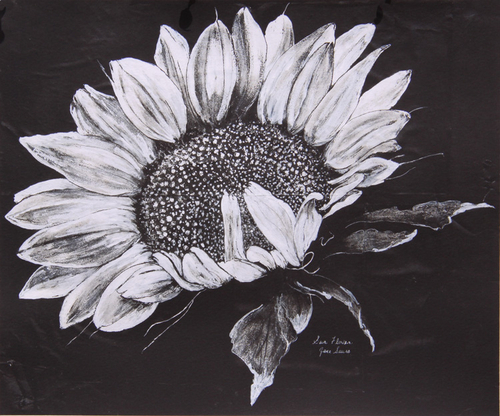 Print Making-Giclee-Sun Flowers