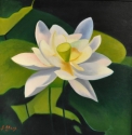 Janet Akers - White Lotus in Summer