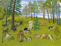 THE%20DOG%20PARK%202 (thumbnail)