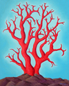 RED%20CORAL (thumbnail)
