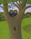 RACCOONS (thumbnail)