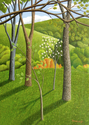 SAPLINGS SAPLINGS (thumbnail)