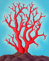 RED CORAL RED%20CORAL (thumbnail)