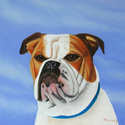 BULL DOG BULL%20DOG (thumbnail)