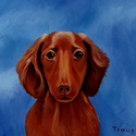 RED DACHSHUND RED%20DACHSHUND (thumbnail)