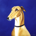 GREYHOUND GREYHOUND (thumbnail)